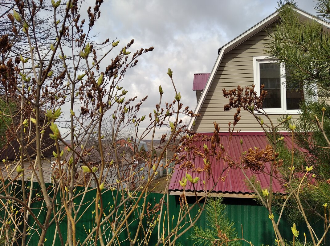 В с.Заворово - Елена Семигина