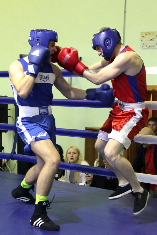 Гладиаторы - Сергей Сомихин Гладиаторы - Сергей Сомихин