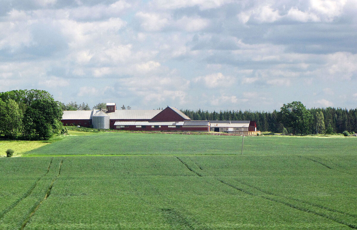Ферма Реллинге (Rällinge) - Александр Ильчевский Ферма Реллинге (Rällinge) - Александр Ильчевский