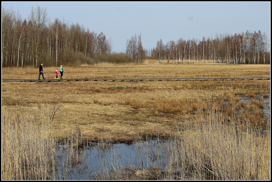 К морю через плавни - Aleksandr Gal