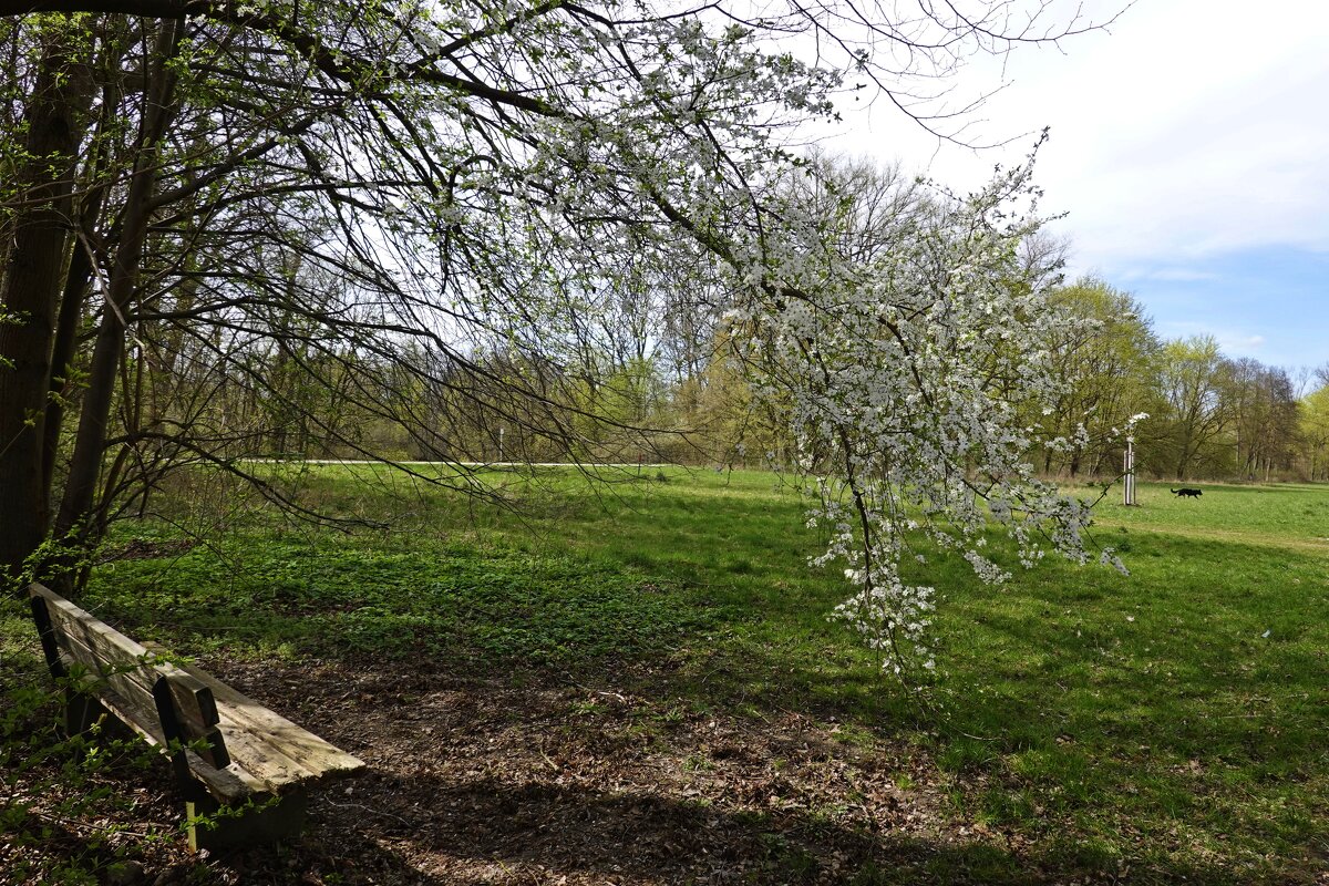Апрельские зарисовки...... - Галина Апрельские зарисовки...... - Галина