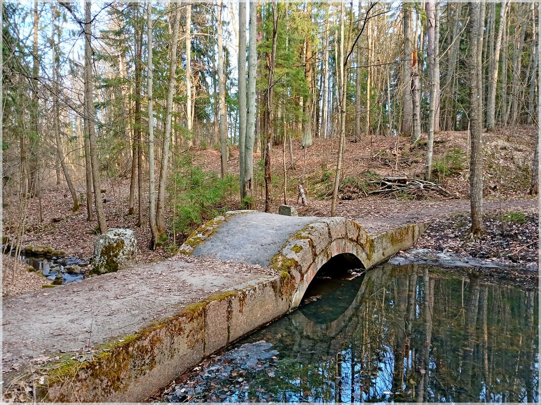 В нашем заповедном лесу. - Лия ☼ В нашем заповедном лесу. - Лия ☼