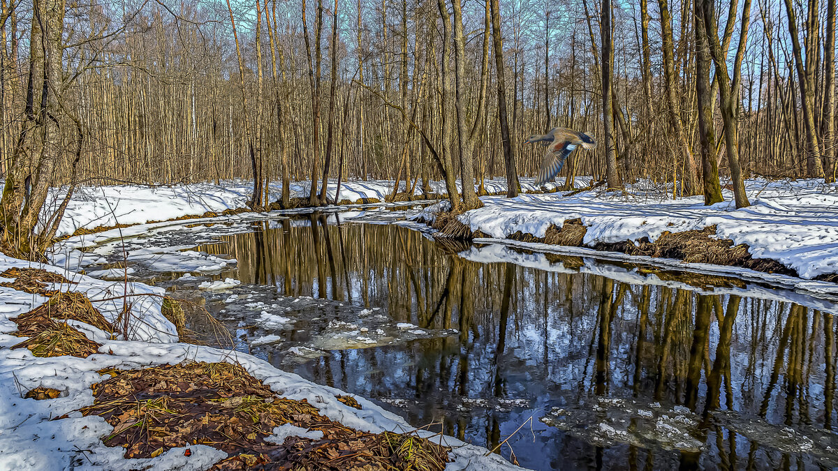 Весна - Aleksey Afonin