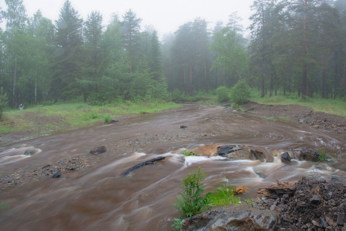 Половодье - Vladimbormotov 