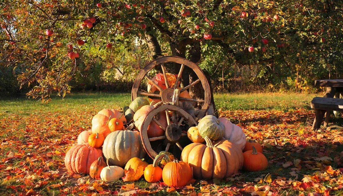 натюрморт - МАРИЯ ПОПОВА