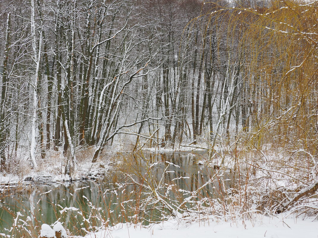 Возвращение зимы (апрель 2025) - Евгений Седов Возвращение зимы (апрель 2025) - Евгений Седов