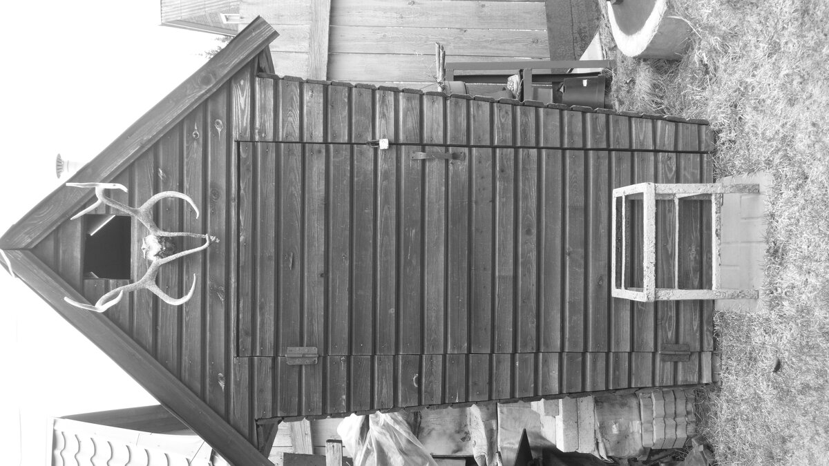 Мечты о ч/б Лейке 97. - Михаил Елочкин Мечты о ч/б Лейке 97. - Михаил Елочкин