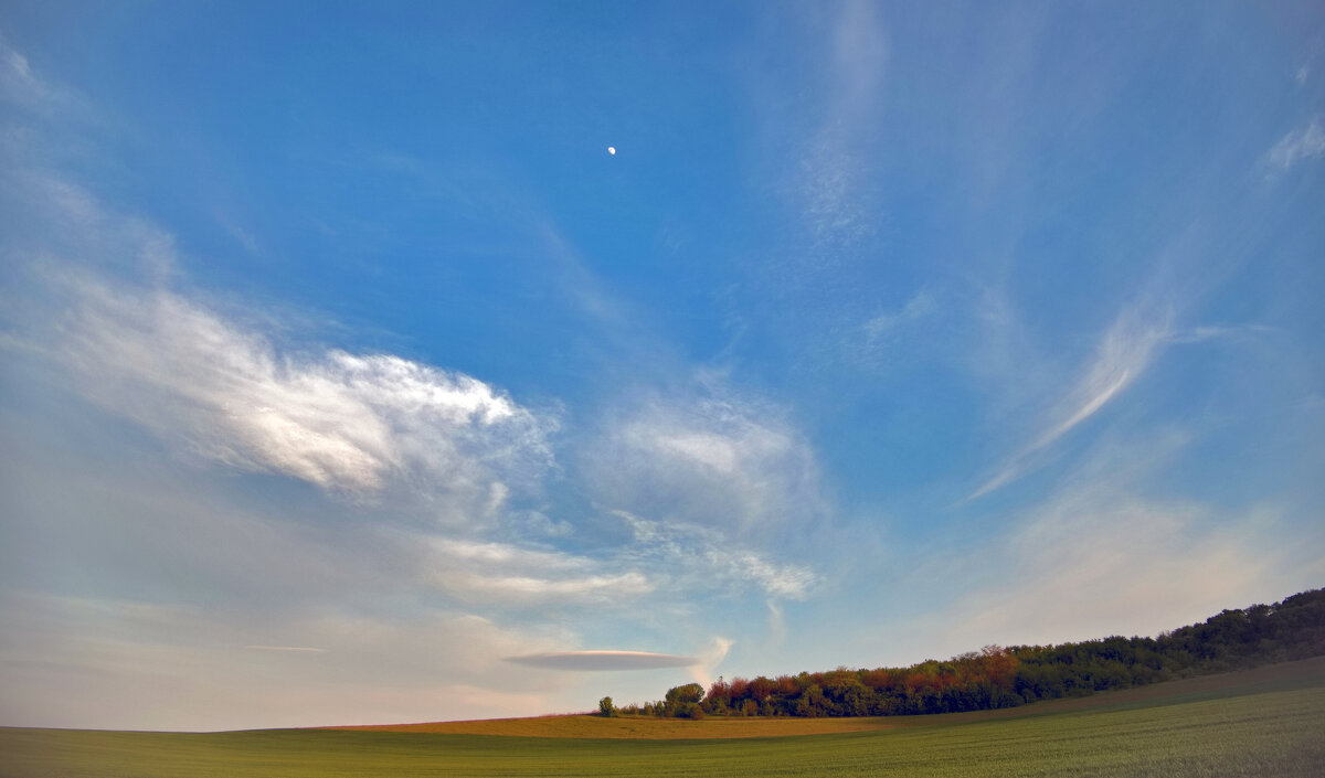 НЛО ) - Всеволод 