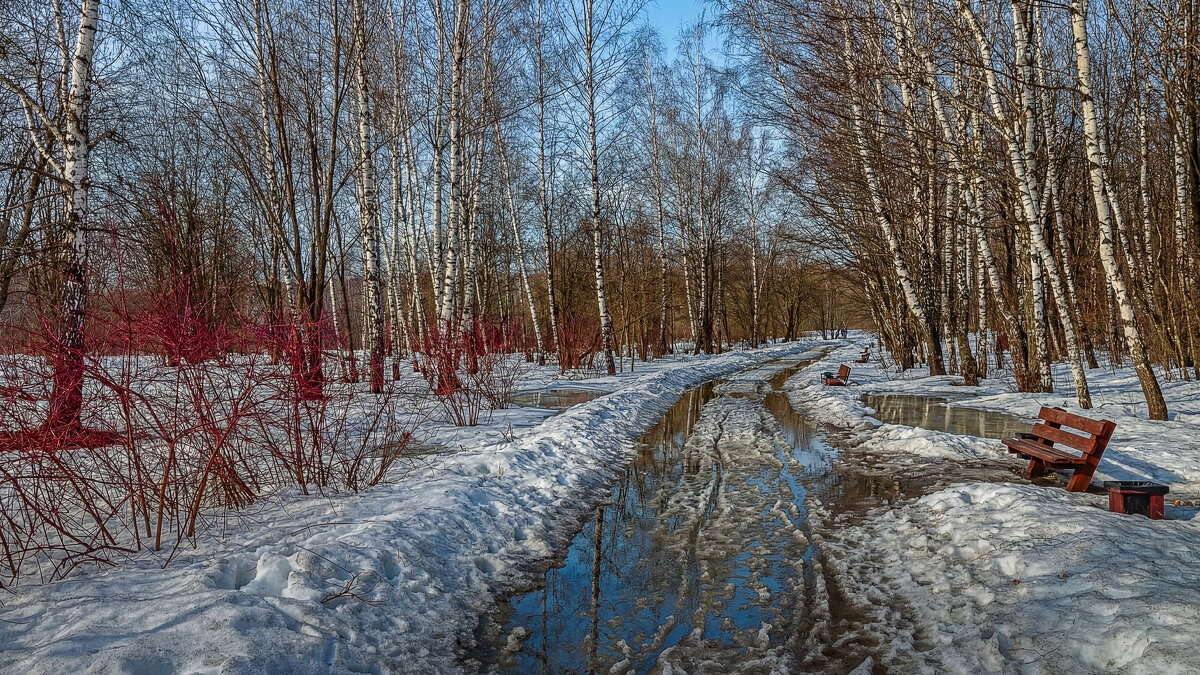 Битцевский лес - Aleksey Afonin
