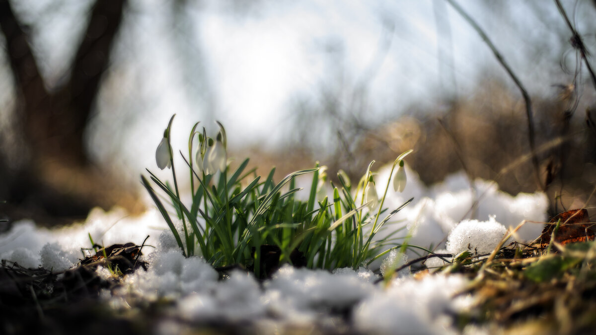 Уже - sorovey Sol