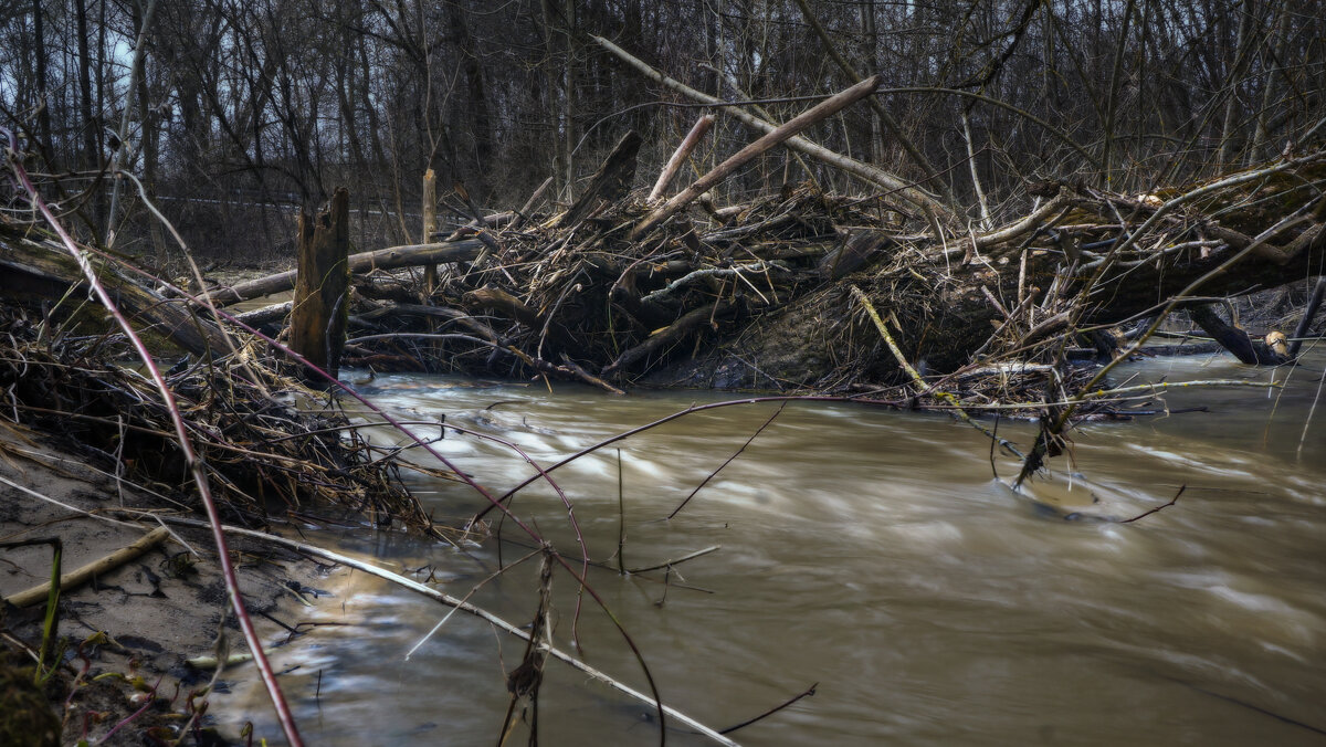 Весенние ритмы - sorovey Sol