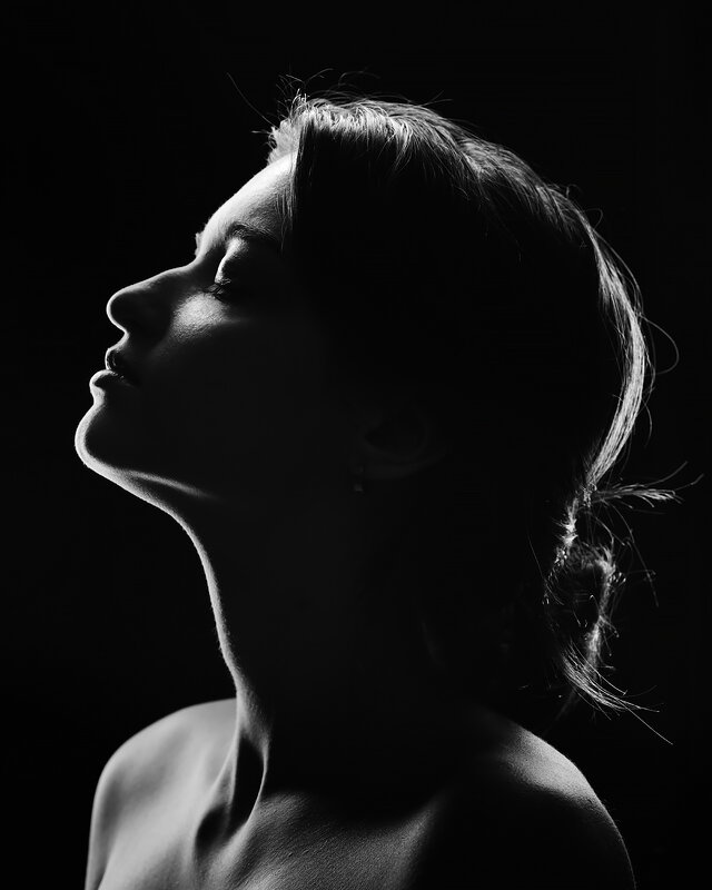 Силуэт - Кулишев Николай 