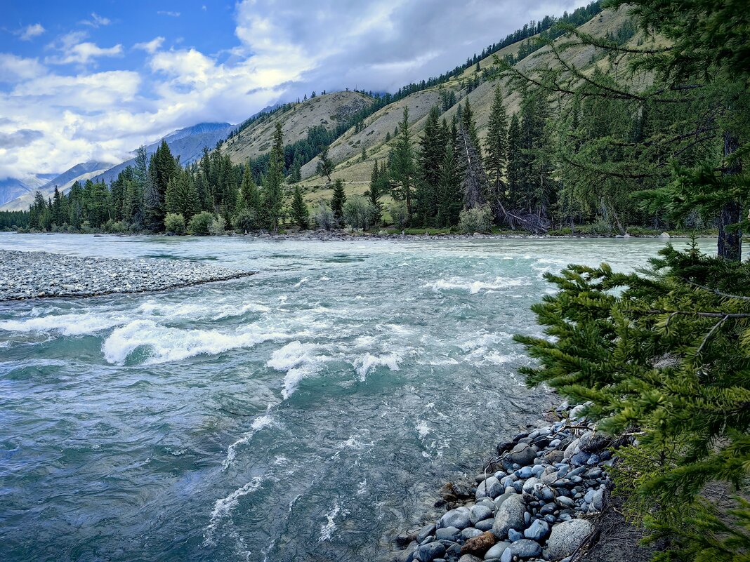 Слияние рек Коксу и Аргут - Галина Козлова 