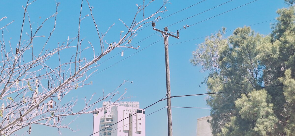 14  КЛОС (111) - CLOSE WAYS ALL