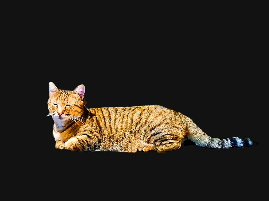 ПОЛОСАТИК , НО   НЕ   ТИГР - Анатолий Малобродский