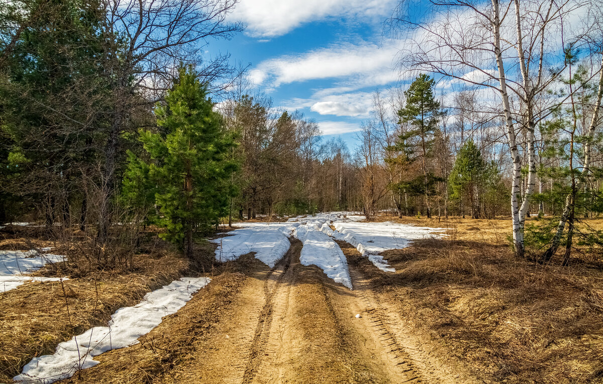 Теплый апрель 5 - Андрей Дворников