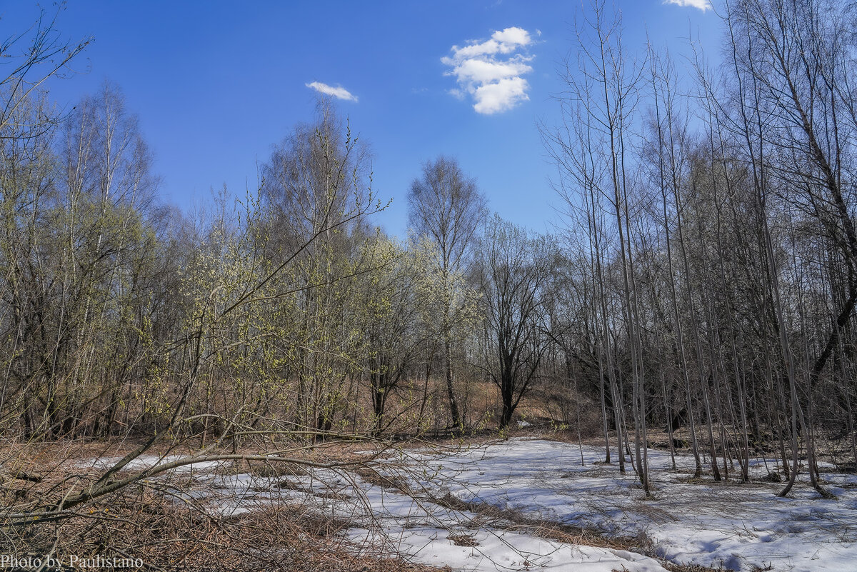 Палитра апреля... - Владимир Жданов Палитра апреля... - Владимир Жданов