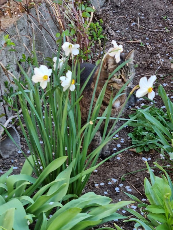 Найдите Марысю :) - Наталья 