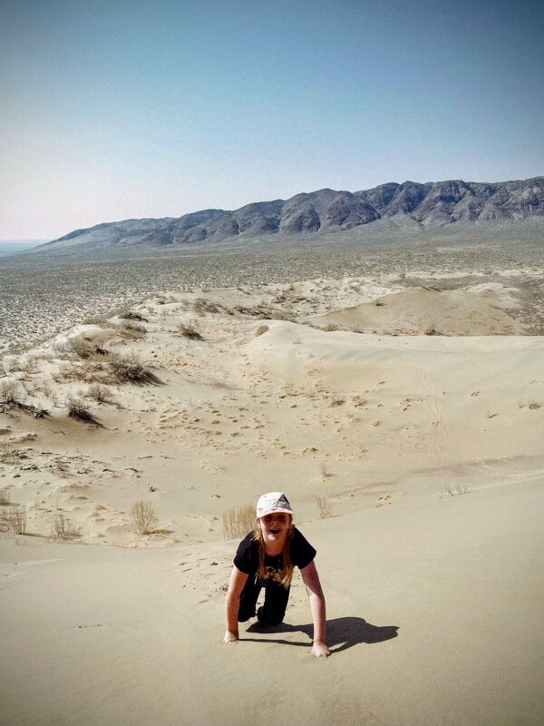 Вперёд,к вершине - Георгиевич 