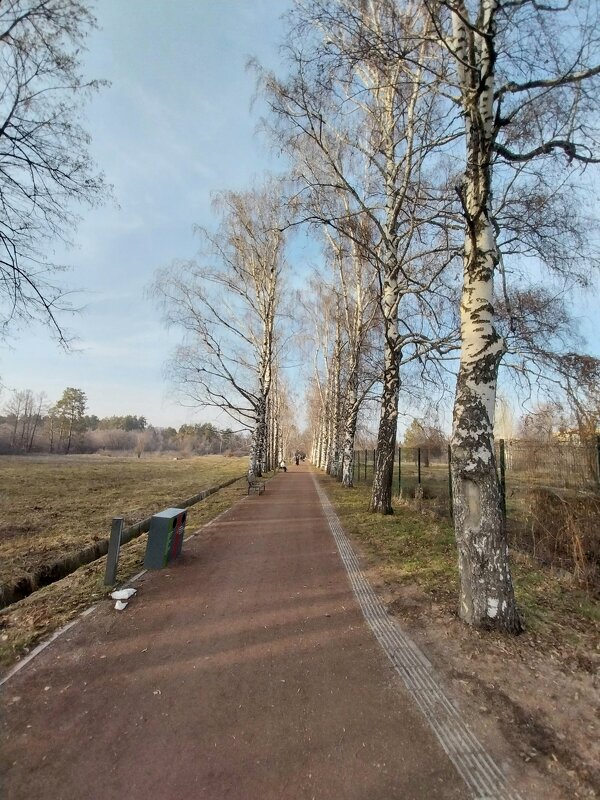 Ботанический сад. Алматы. - Murat Bukaev 