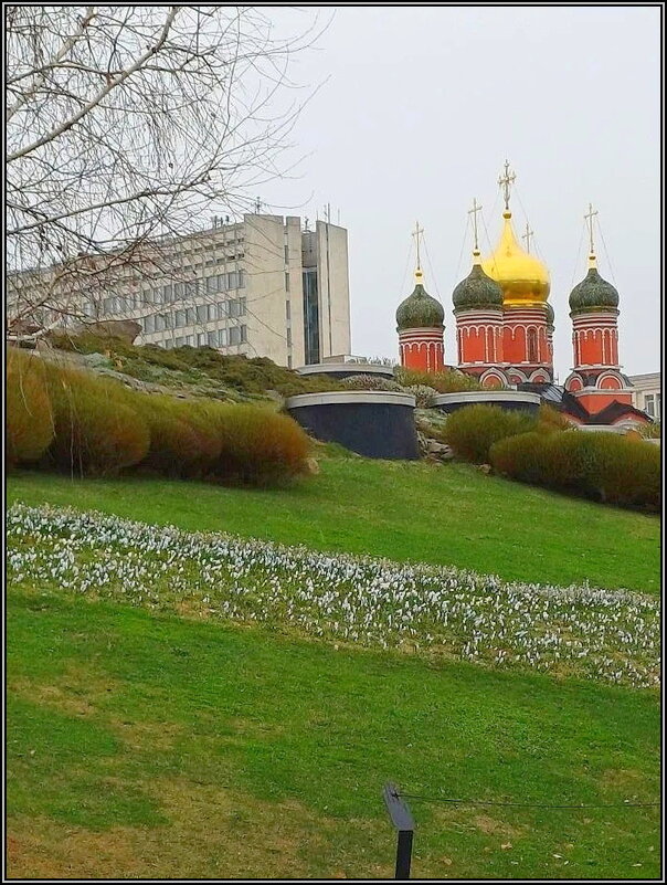 Городской пейзаж - Ольга Довженко