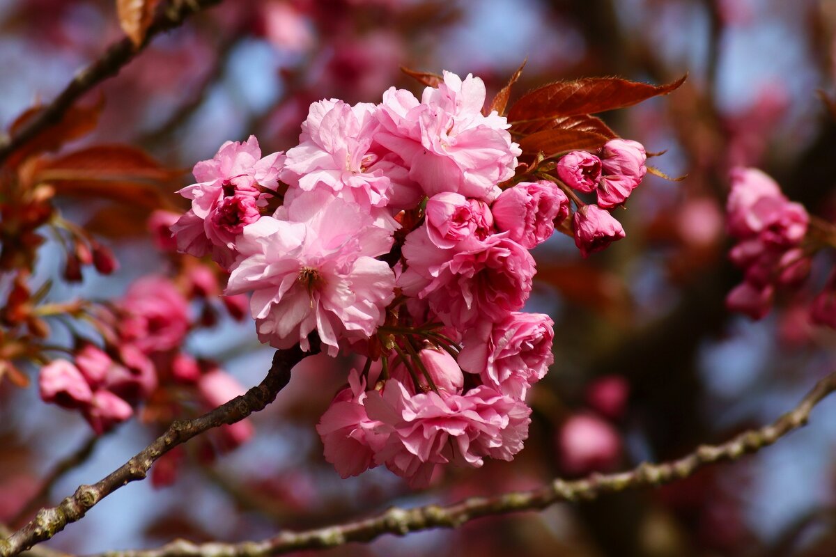 Доброе утро - Юрий. Шмаков