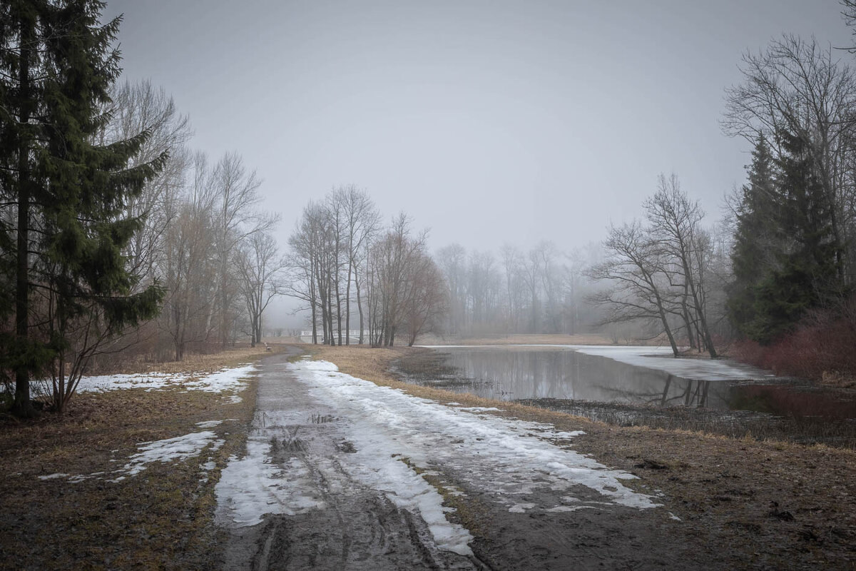 **** - Елизавета .