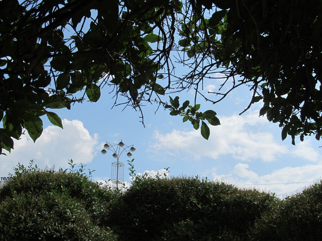 зарисовка в большом городе - Елена Шаламова зарисовка в большом городе - Елена Шаламова