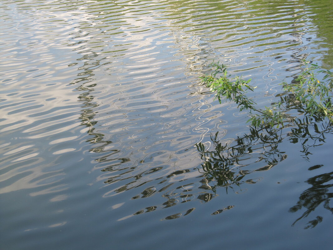 В парке-Радуга - Елена Шаламова В парке-Радуга - Елена Шаламова