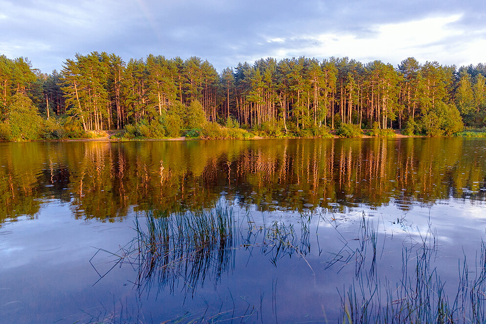 Вечер на реке - Александр Силинский Вечер на реке - Александр Силинский