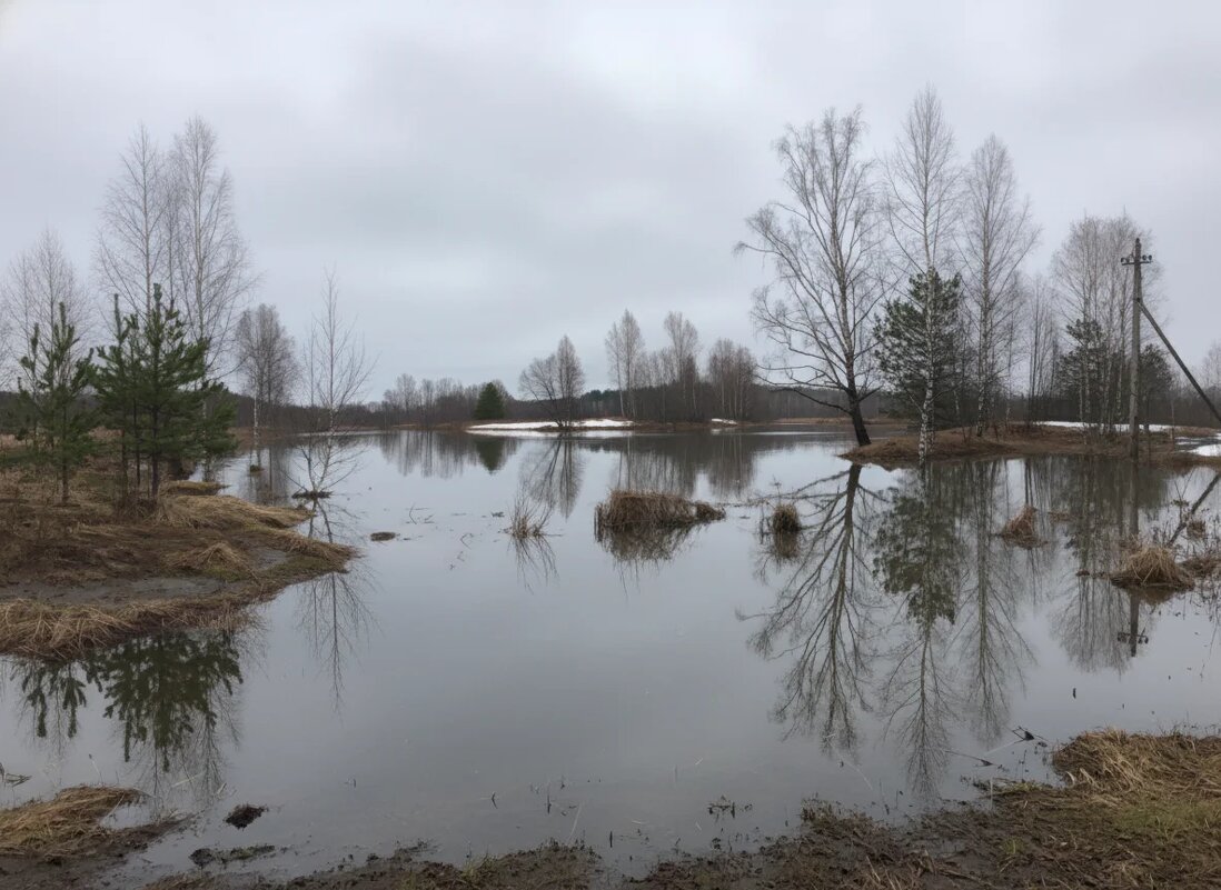 Река Молокча - Денис Бочкарёв