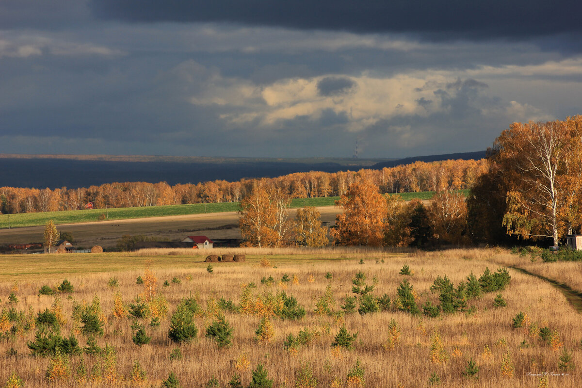 Золотая осень - Владимир Гришин Золотая осень - Владимир Гришин