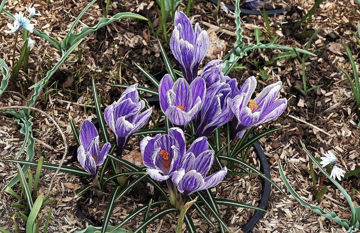 В парке Зарядье - Татьяна Тюменка