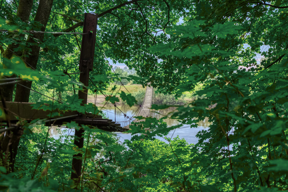 Подвесной мост - Олег Подлесных