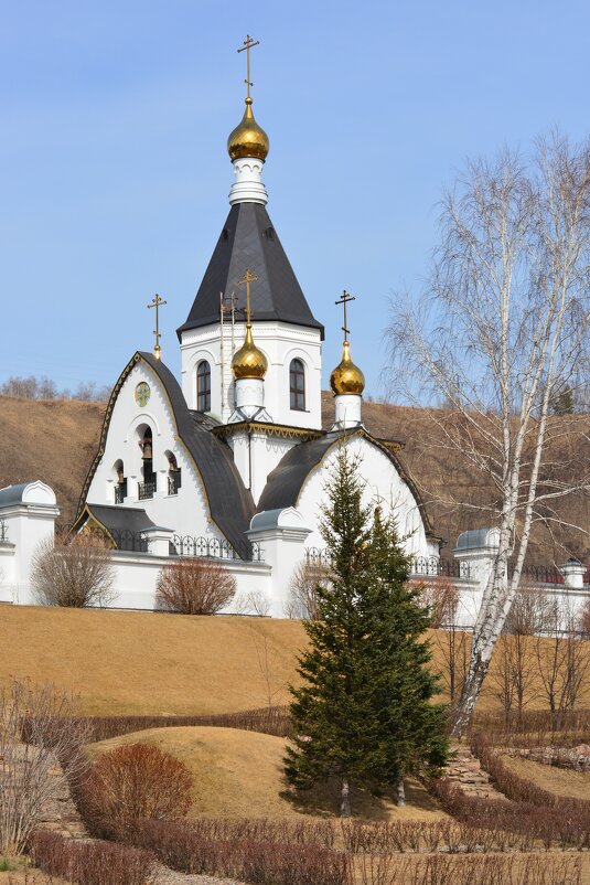 Храм Свято-Успенского монастыря в Вербное воскресенье - Светлана Грызлова