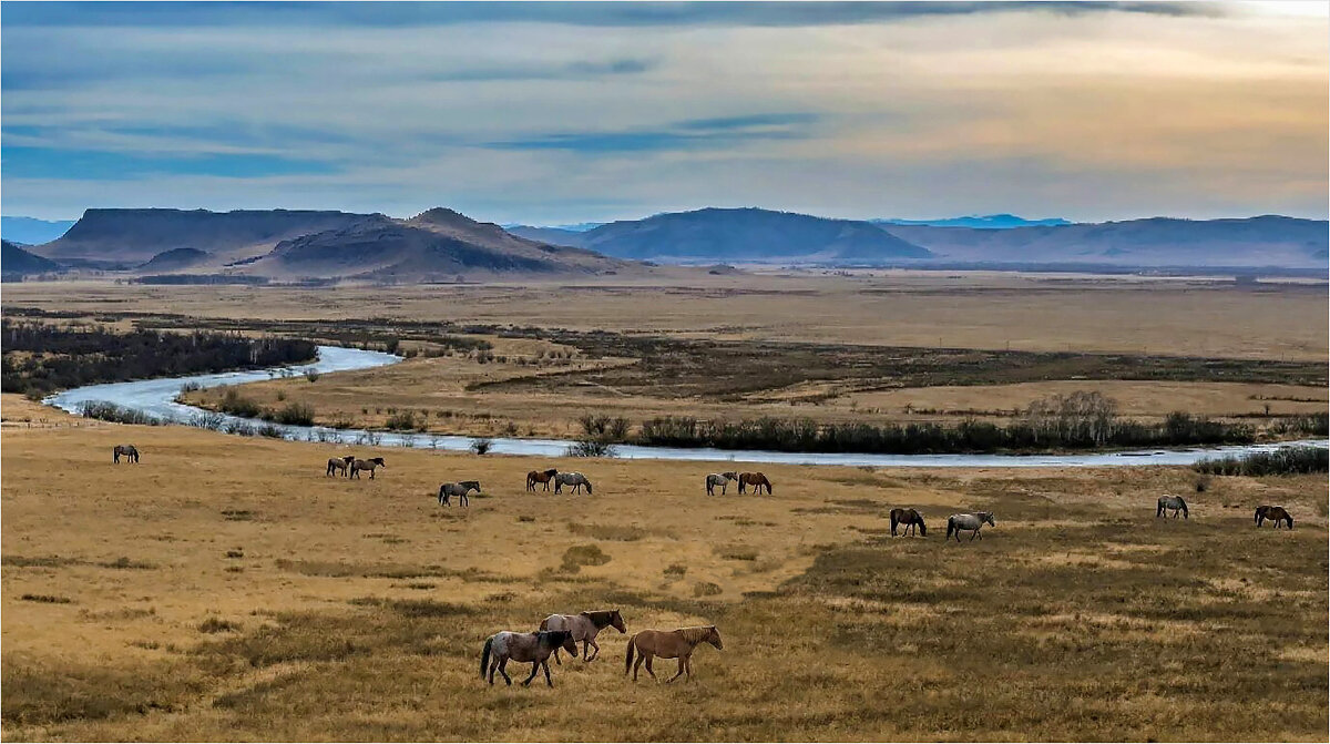 **** - Алексей Мезенцев