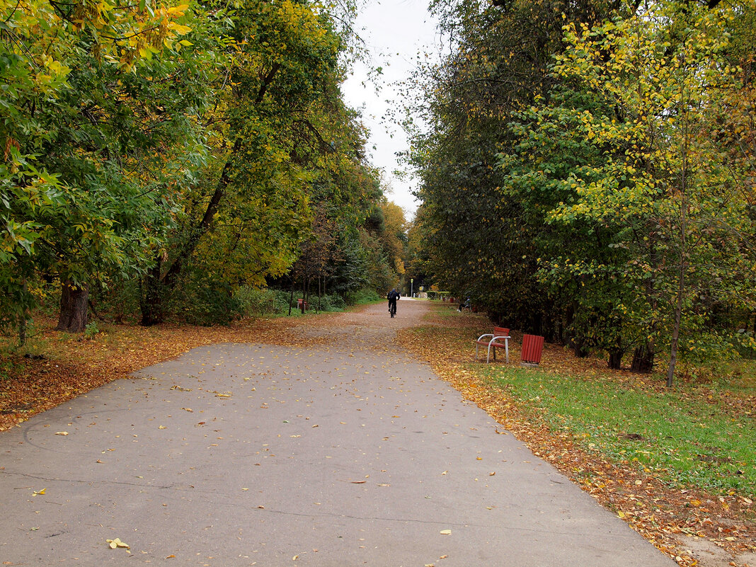 Кузьминский парк - Игорь Белоногов