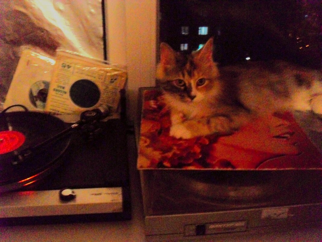 А мы тут пластинки слушаем... - Nora Nowhere