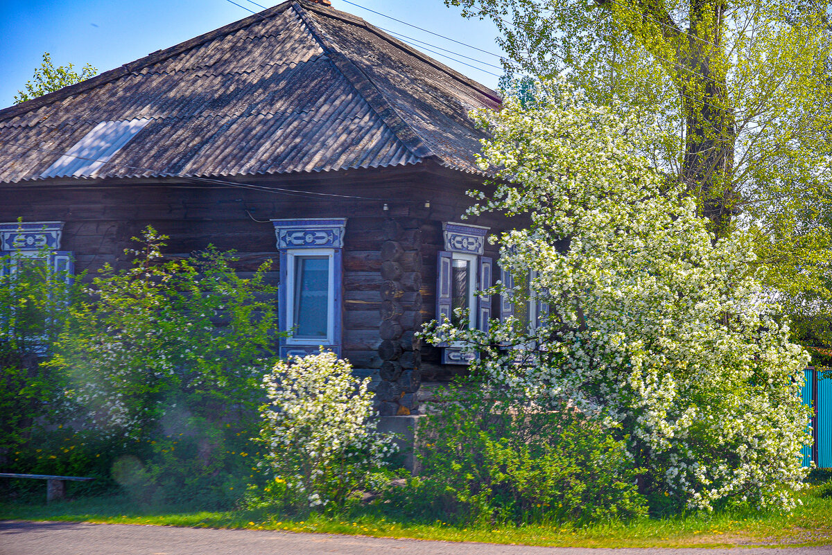 Домик у дороги - юрий Амосов