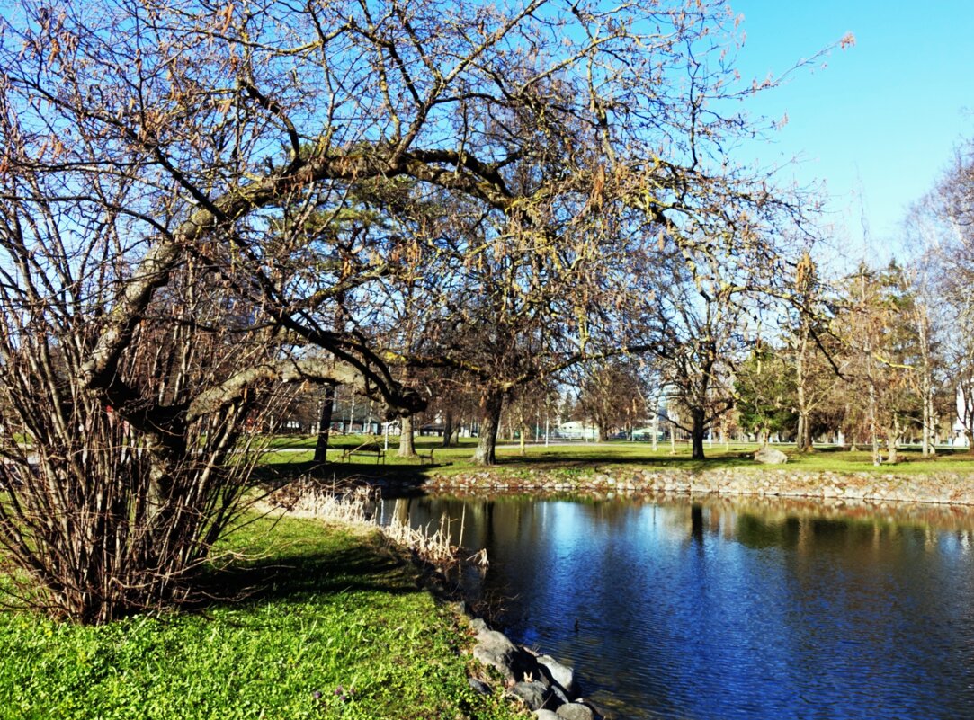 Около небольшого пруда - Aida10 