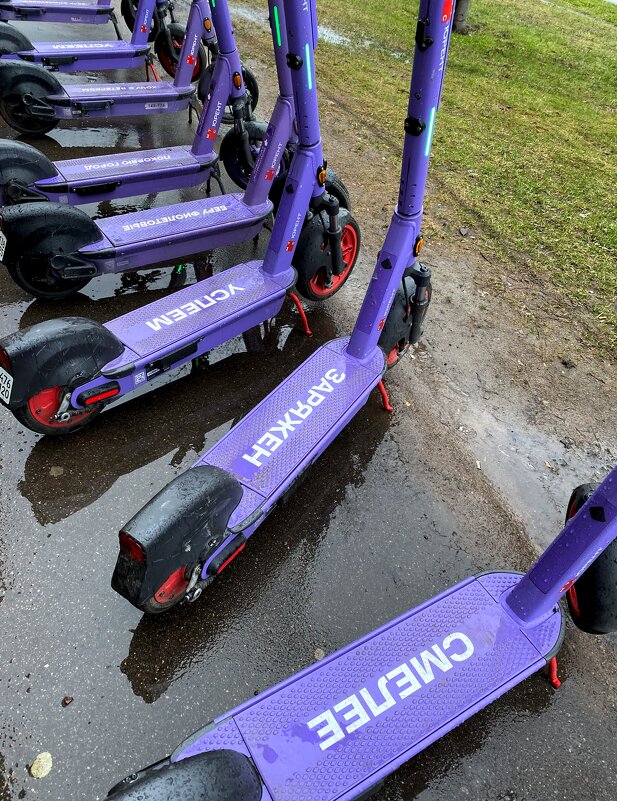 Все, что раздражает в других, может вести к пониманию себя. - Таня Фиалка