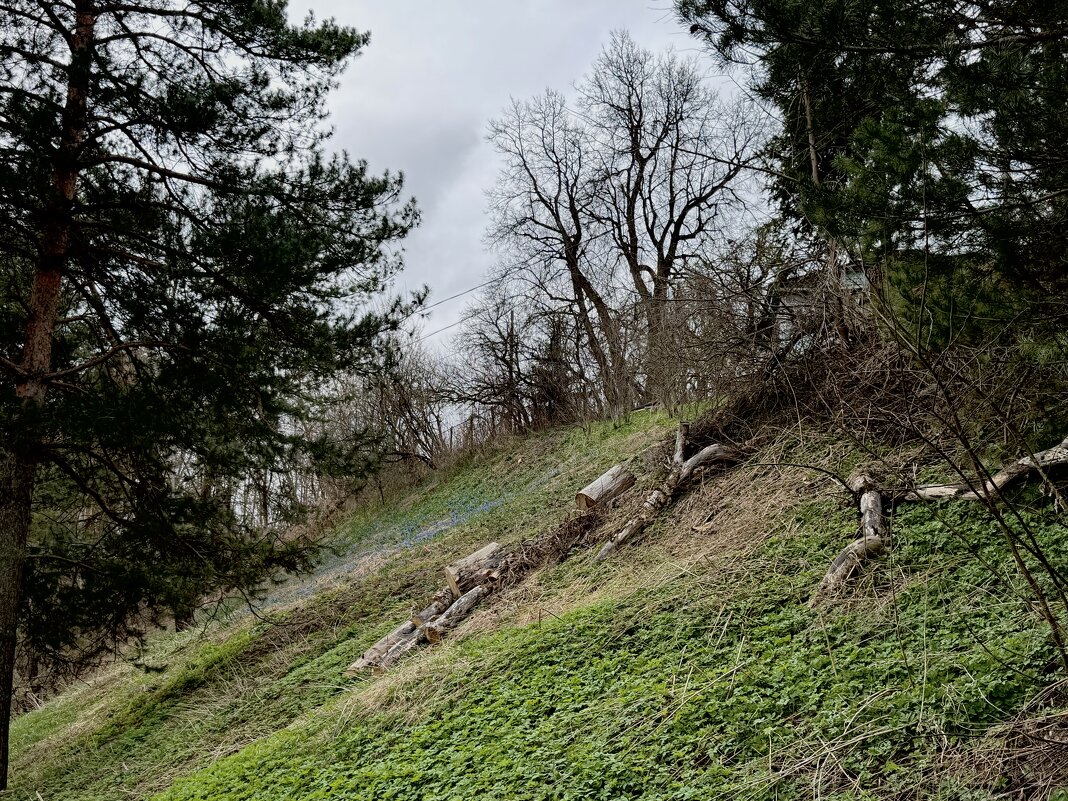 Холмы зеленеют… - Любовь 