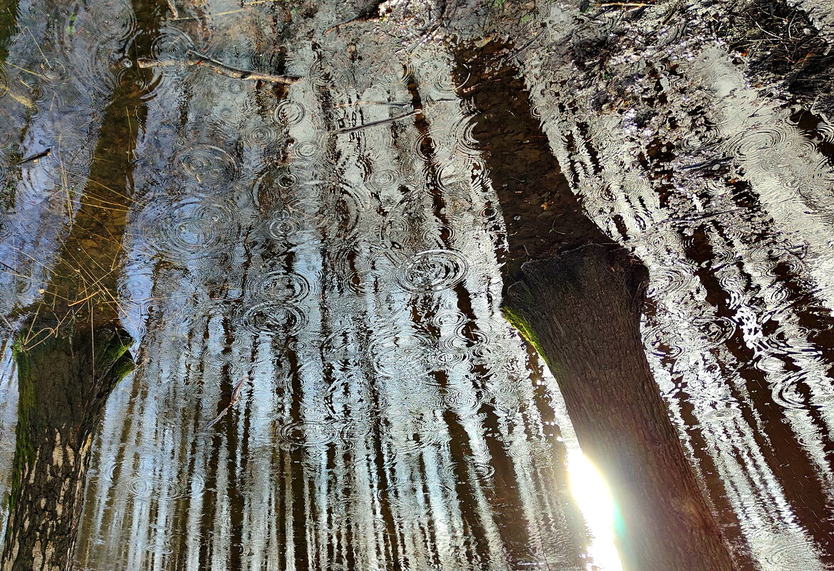 Из Леонида Губанова - Victor Vinocurov