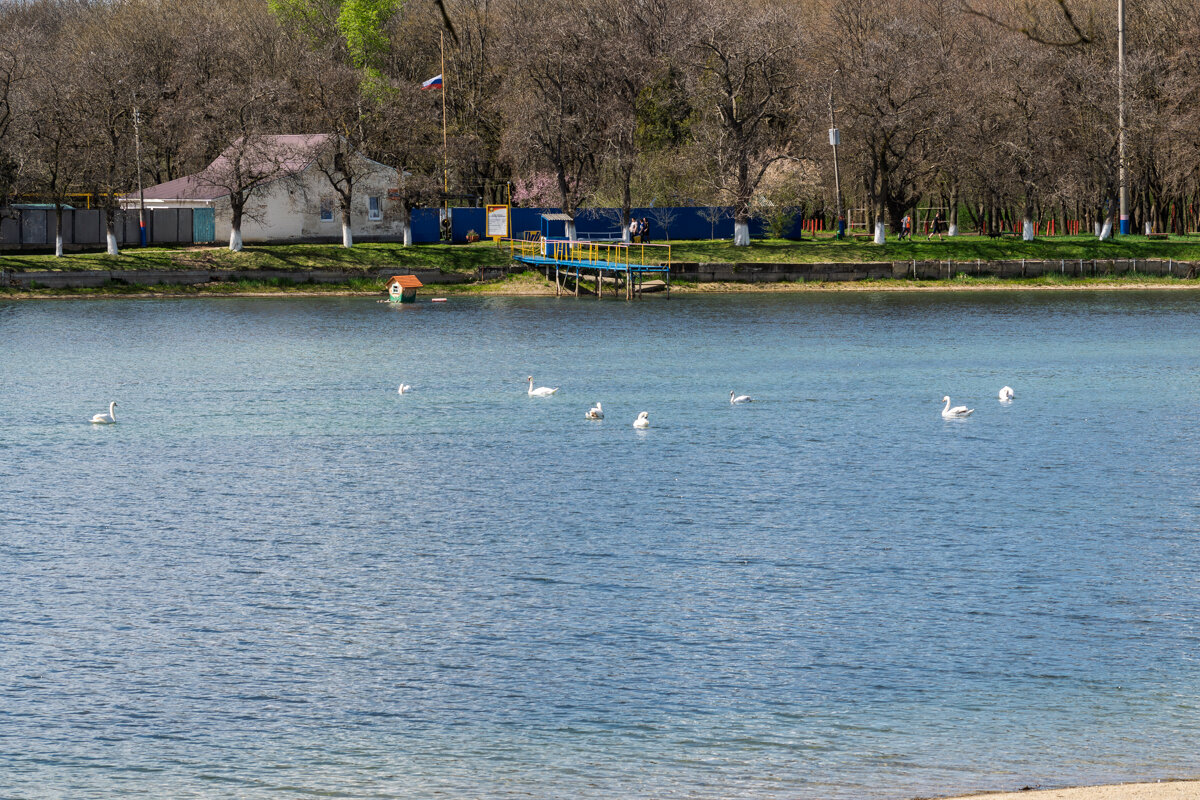 Городское водохранилище - Игорь Сикорский