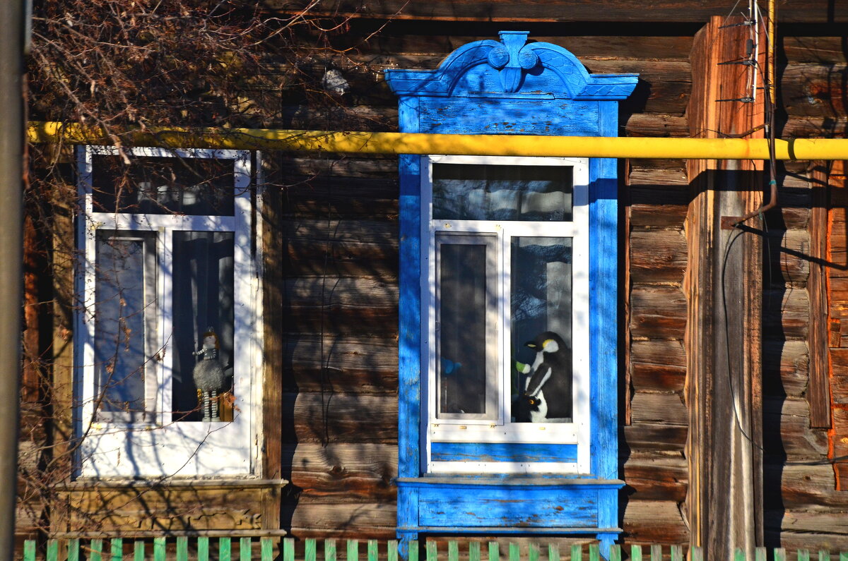 Оконное ассорти. - Михаил К