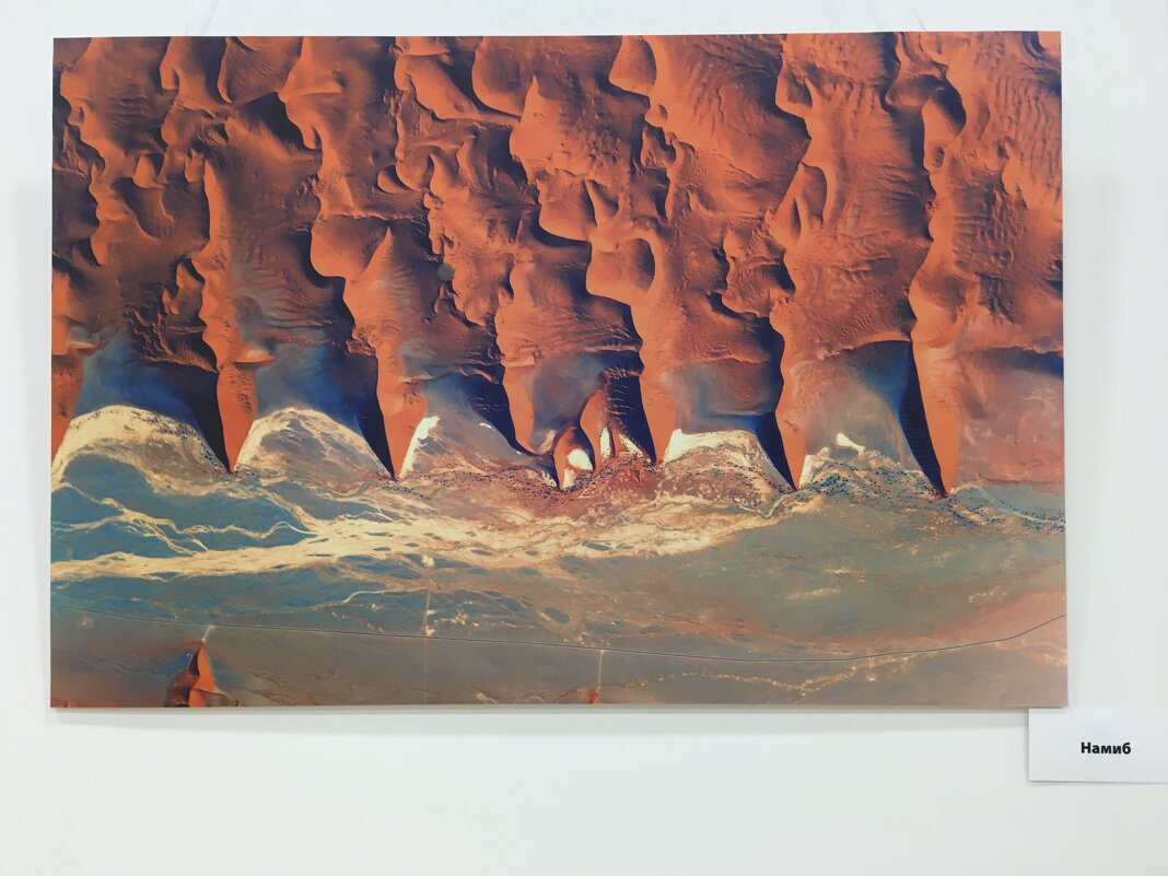 Удивительная Земля! - Надежда Удивительная Земля! - Надежда