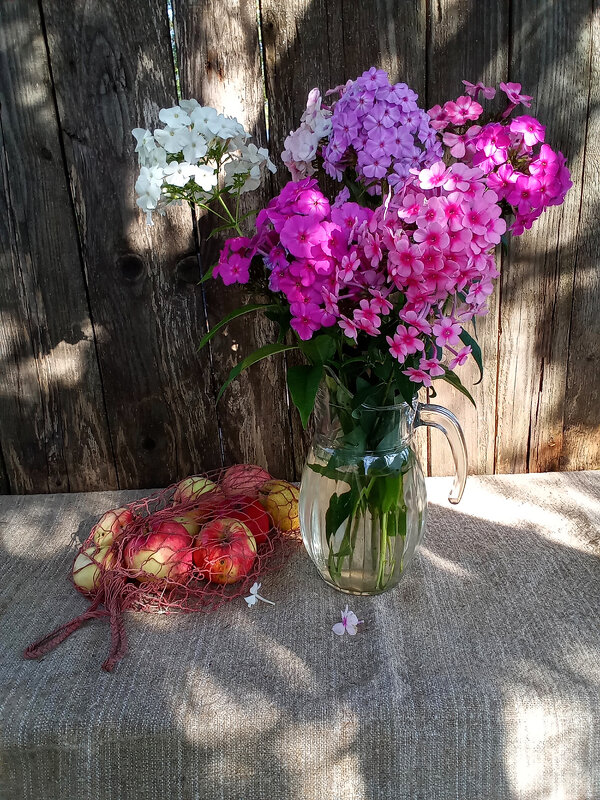 Флоксы - Владимир Гришин Флоксы - Владимир Гришин