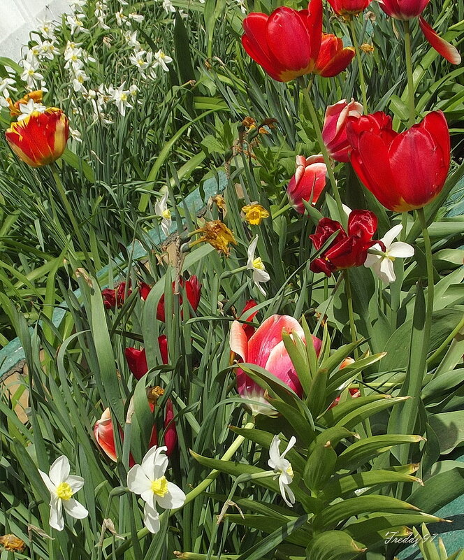 Весной... - Freddy 97