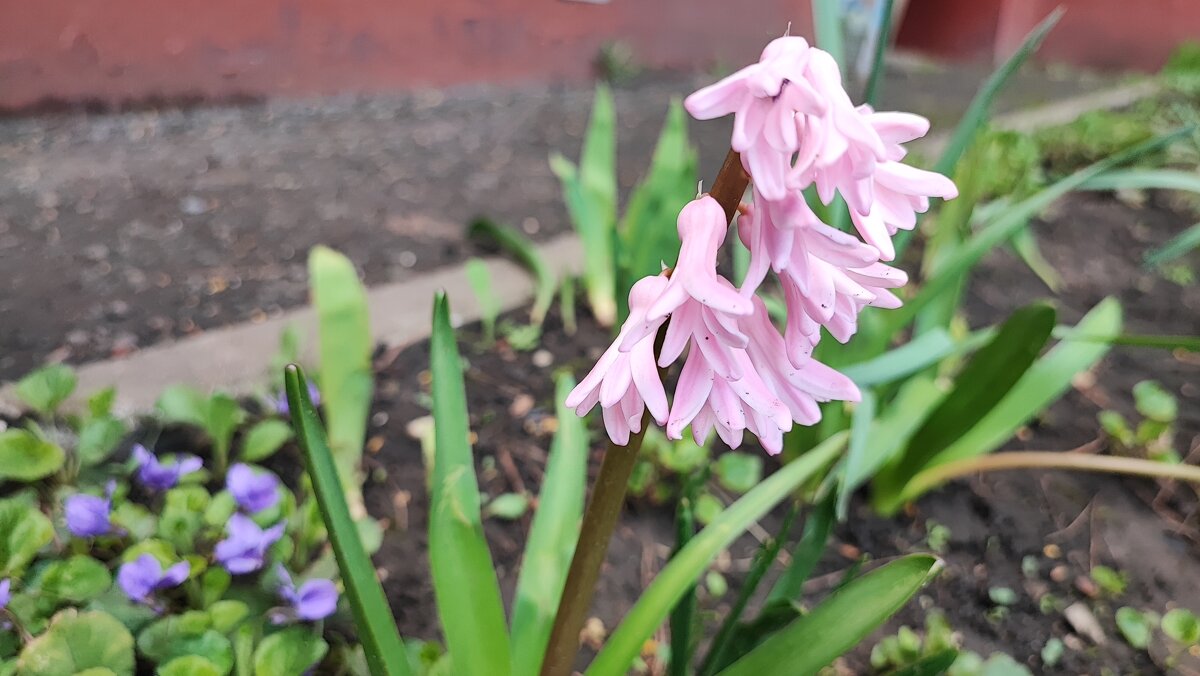 ,,, - Сергей Тимоновский