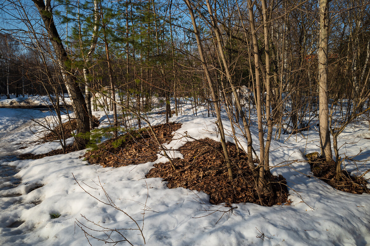 Мартовские проталины - Александр Синдерёв